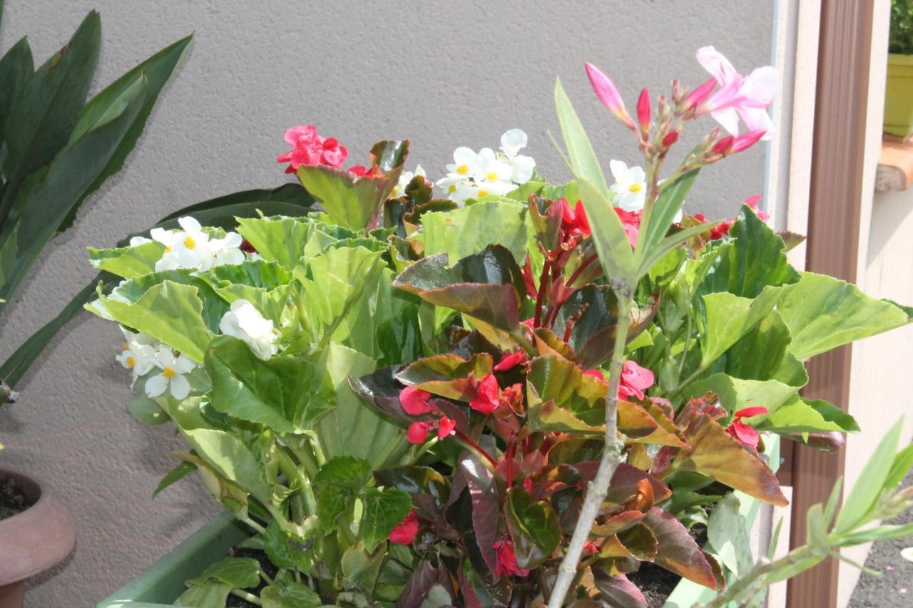 B&B La Garona Saint-Nicolas-de-la-Grave ภายนอก รูปภาพ